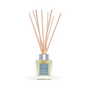 Eve Taylor( イブ・テイラー)