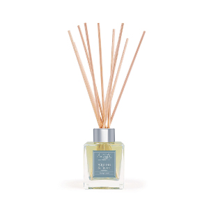 Eve Taylor( イブ・テイラー)