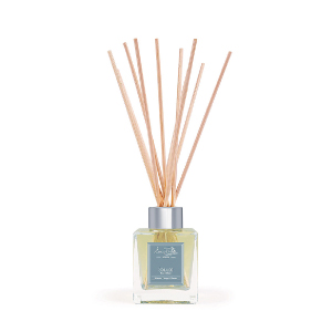 Eve Taylor( イブ・テイラー)